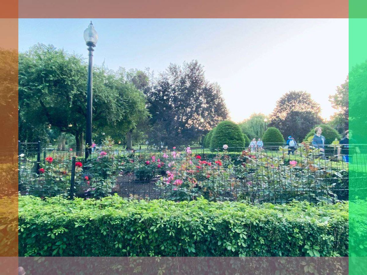 Redeesh257140's tweet image. so, what's love