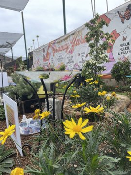 sdcwa's tweet photo. We’re happy to partner with @saveourwater at the @SDFair! 

Stop by our booth located in the garden section at The Fair and get tips and resources on how to upgrade your landscape! ✨ 

#ThanksForPlantingMe #PlantMe #NativePlants #LandscapeTransformation https://t.co/TKdW1oXXFY