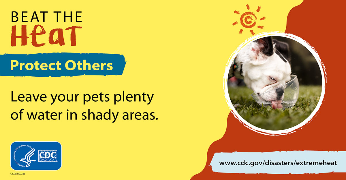 #DYK? Pets can suffer from heat-related illness too! Keep pets safe from #ExtremeHeat. 
• NEVER leave pets in a parked car.
• Give pets plenty of water in shady areas.
• Bring pets into air-conditioned areas. 

More information: bit.ly/3NwV310