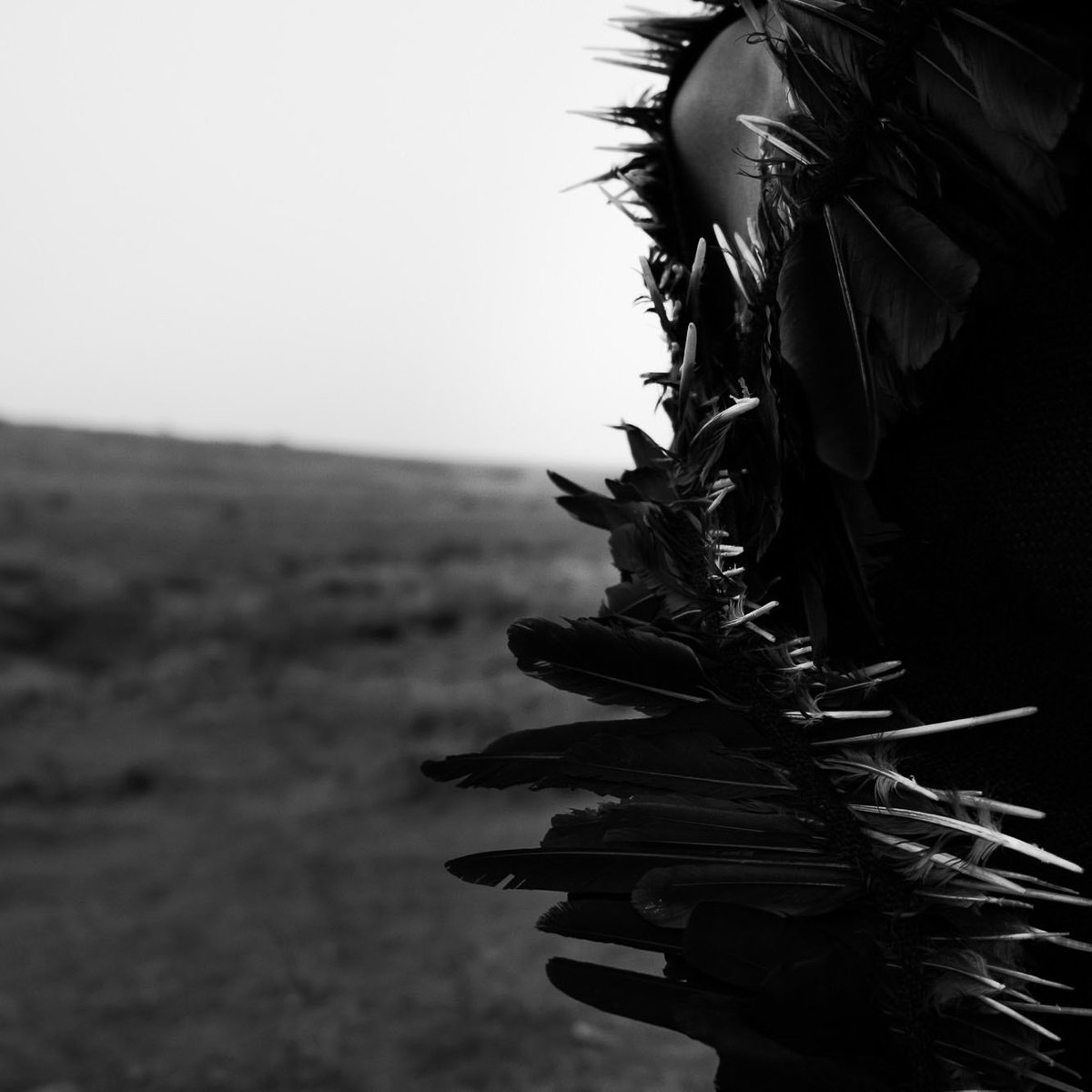 MA Fine Art tweet media