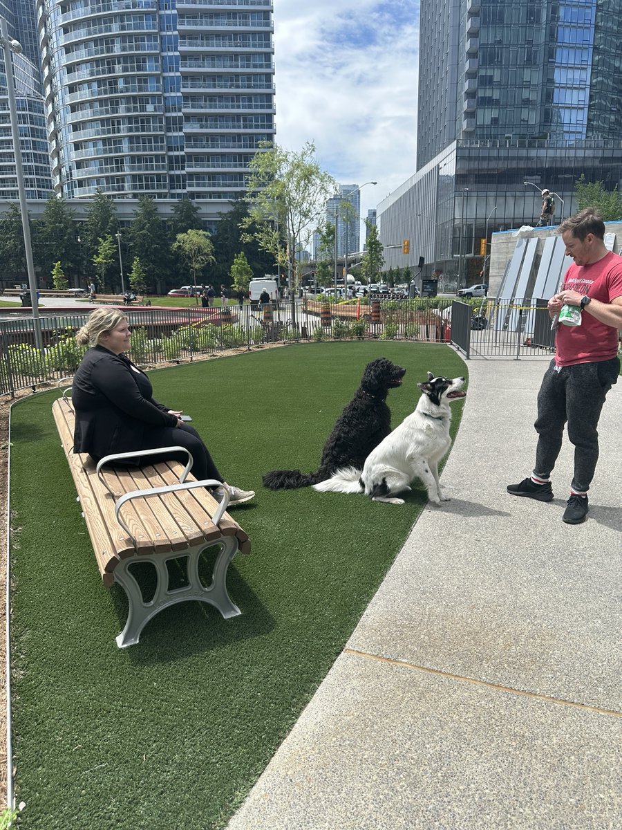 WaterfrontTO's tweet photo. The fences only just came down and people are already loving Love Park!

@cityoftoronto https://t.co/1AZ9PSdccT