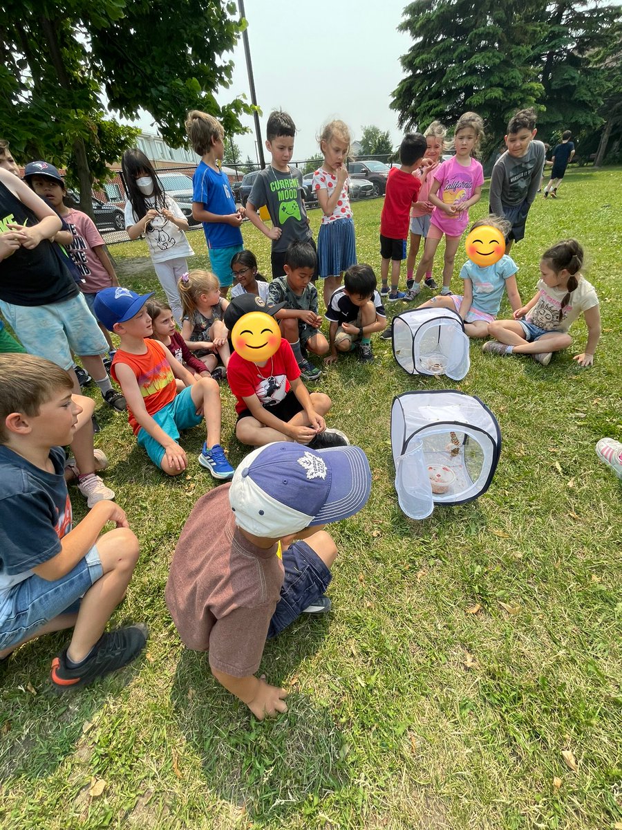 mssarracini's tweet photo. Our grade 1 classes were so excited to finally set our beautiful butterflies free @MsMcNaught @HST_YCDSB https://t.co/EClQCCxzs2