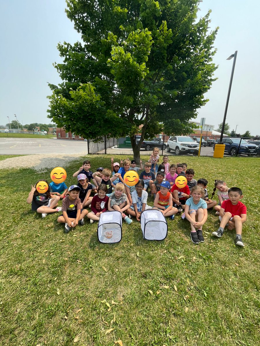 mssarracini's tweet photo. Our grade 1 classes were so excited to finally set our beautiful butterflies free @MsMcNaught @HST_YCDSB https://t.co/EClQCCxzs2