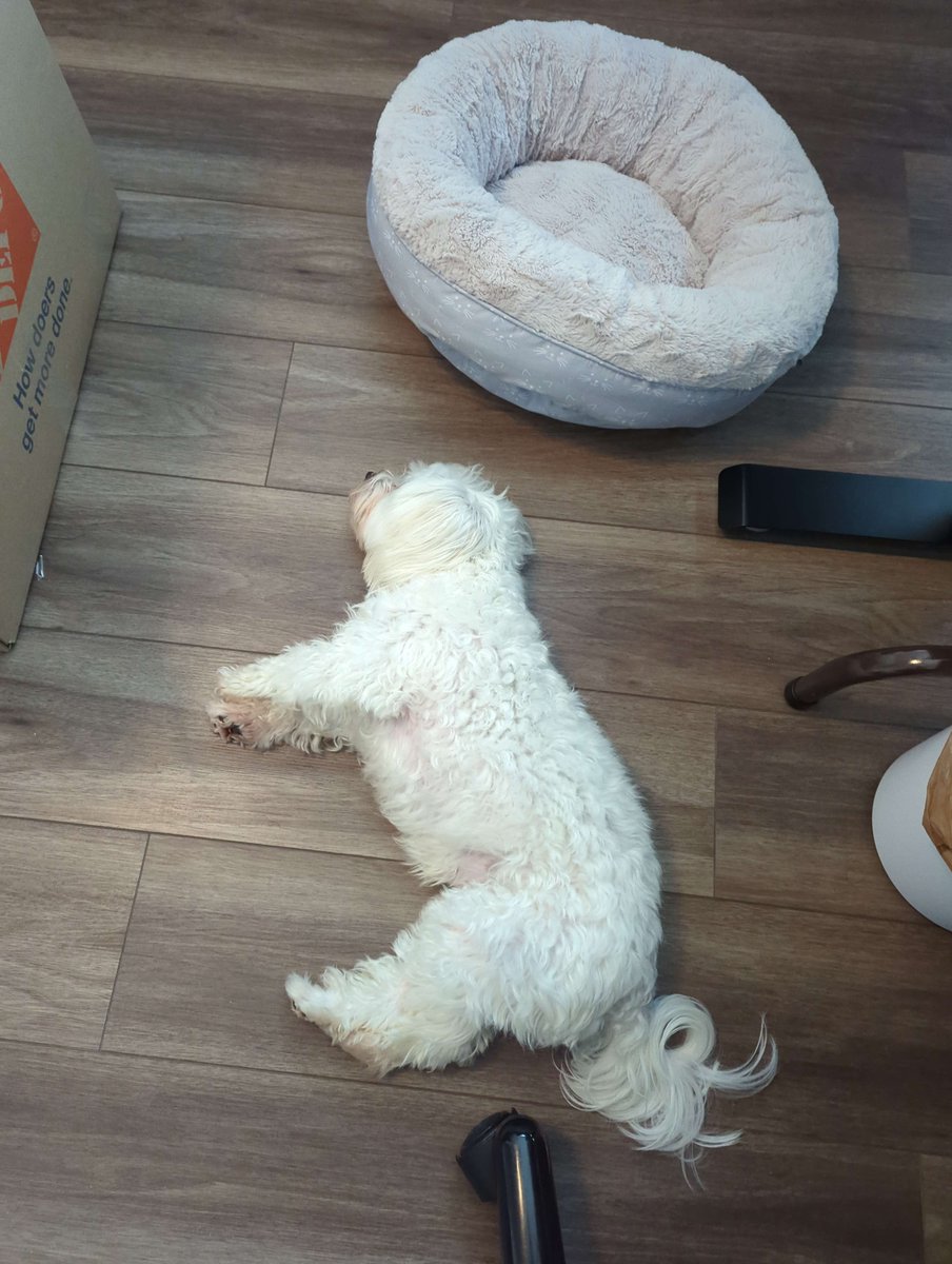 veronica💙 tweet media