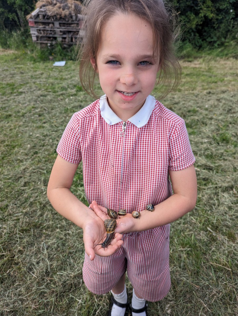 Today's after-school club was one of the BEST! The children absolutely loved searching for minibeasts but snails came up on top. The children (and snails) were so confident! We even named one Amy the snail! 🐌🐌🐌🐌🐌🐌#ShineAtShelf