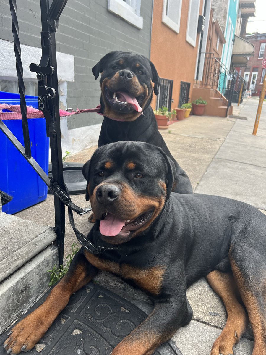gretchen_burgos's tweet photo. @BongaMnce You just have to love them properly I have mom and that as well https://t.co/b81h1w1DaA