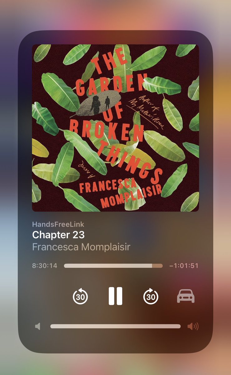 This book 📖 was everything and more! The author ✍🏾 did her THING! The June read gave what it needed to! Definitely loved learning more about the Haitian culture. #caribbeanheritagemonth #readcaribbean #TheHerBookClub 📖🧡