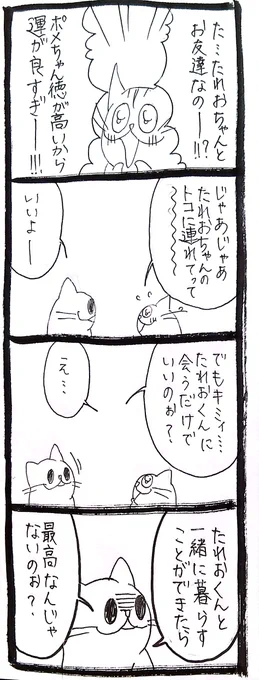 ポメラニアンとして寿命をまっとうしたと思ったら猫に転生した話33