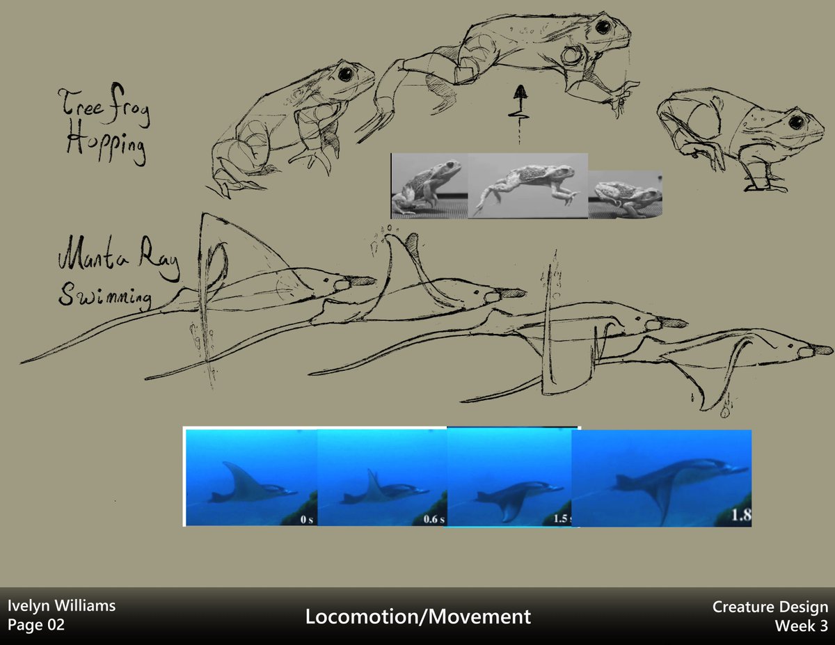 ivyyersinia's tweet image. Week 3 of the Creature class is inspiration from animal movements.  This one was rough since I had no idea what I was going to do until 8 hours before class.  Not super happy how it came out, but I&apos;m glad I got something down at the very least!

#dynamicsketching #creaturedesign