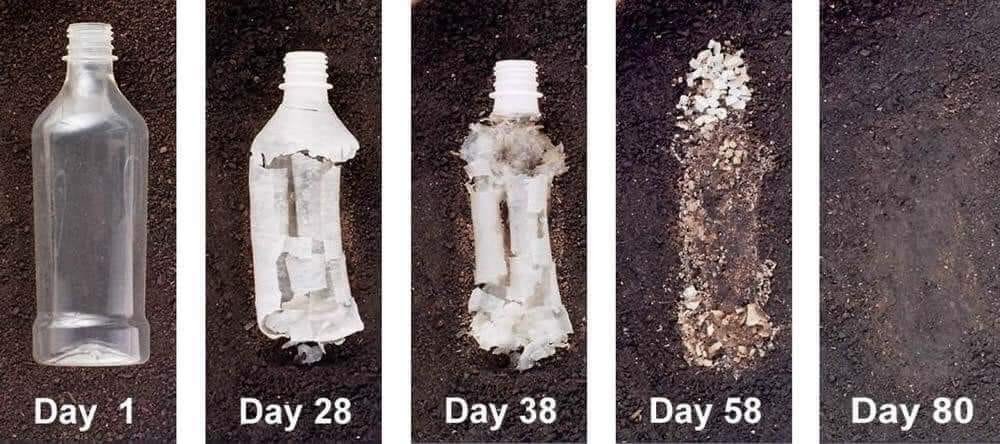 La botella de plástico hecha de cáñamo se descompone por completo en tan solo 80 días. Es completamente biodegradable y no tóxica. Además, es más resistente y ligera que los plásticos derivados del petróleo, ya que no están fabricados con combustibles fósiles, lo que significa…