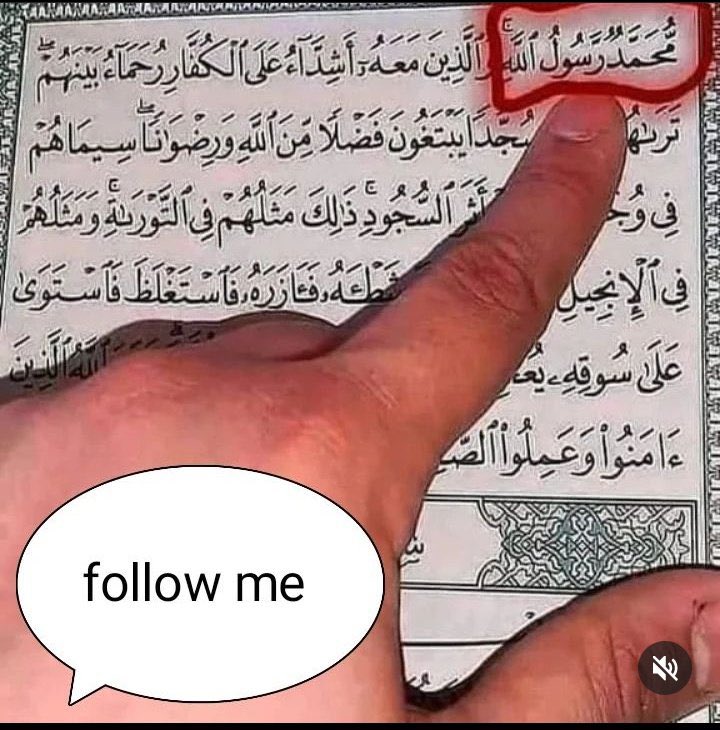 How many Muslims are online to retweet and comment with (SAW)💙❤️💙❤️