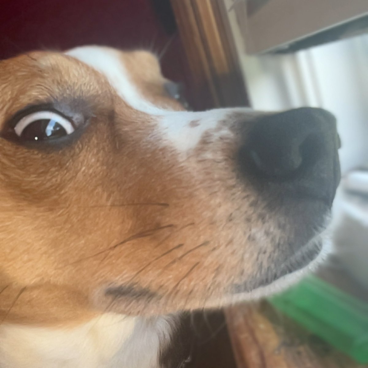Lixnobitches's tweet photo. @PicturesFoIder https://t.co/OQAJGLgli2