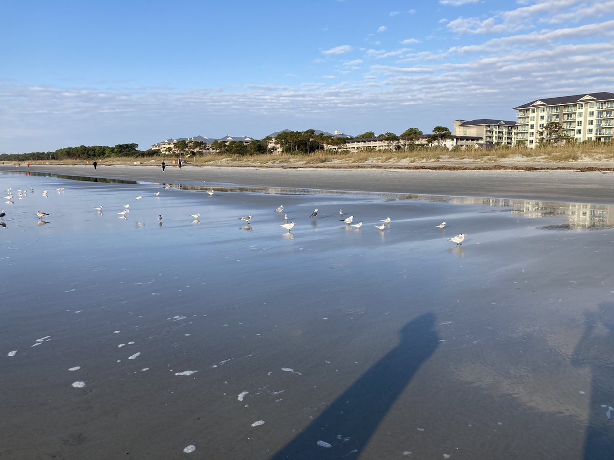 Meat Raffle tweet media