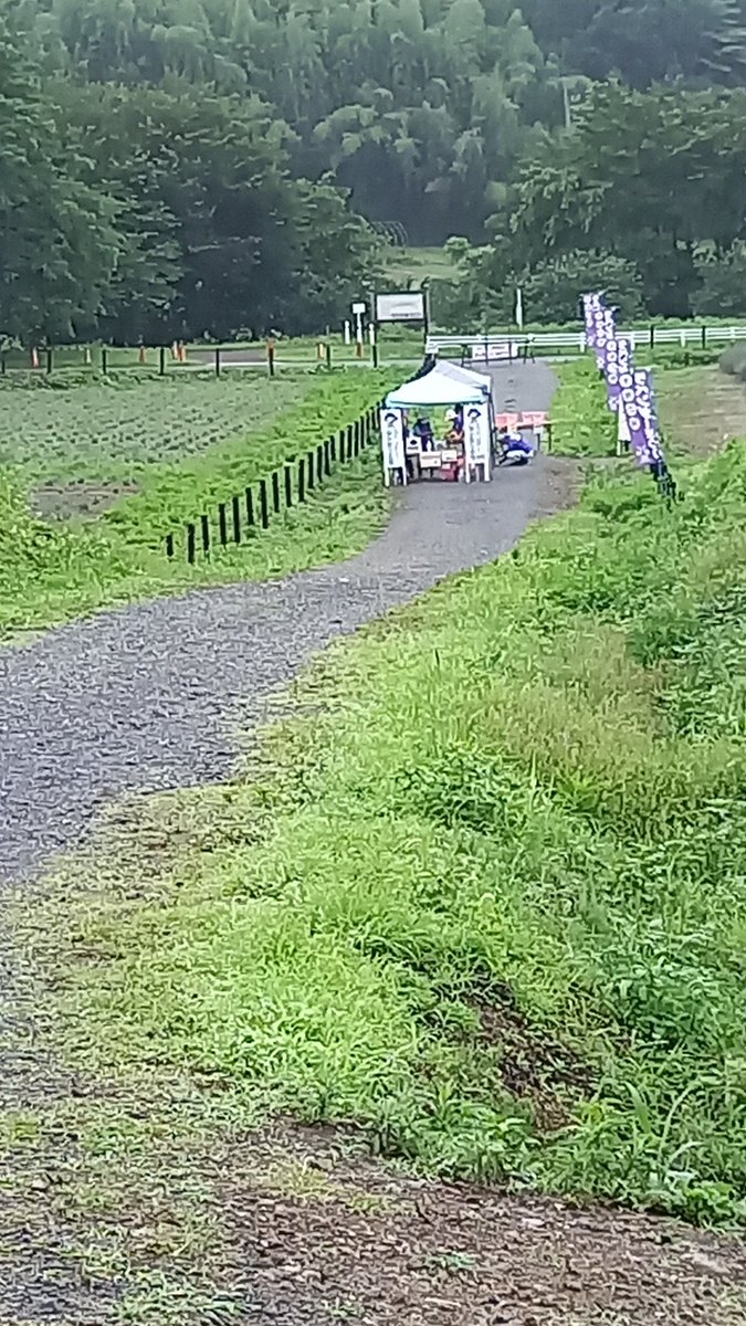 RanzanKanko's tweet photo. #らんざんラベンダーまつり
6/23 本日の #摘み取り体験 会場
入園口からまっすぐ➡️パーゴラ(屋根)奥下側
青いテントで受付しています
このエリアの #ラベンダー が摘み取れますよ♡
#嵐山町観光協会
#嵐山町 #埼玉 #イベント #まつり #lavender
#花 #花が好きな人と繋がりたい #撮影スポット #ranzan https://t.co/nMQS0sCe6A