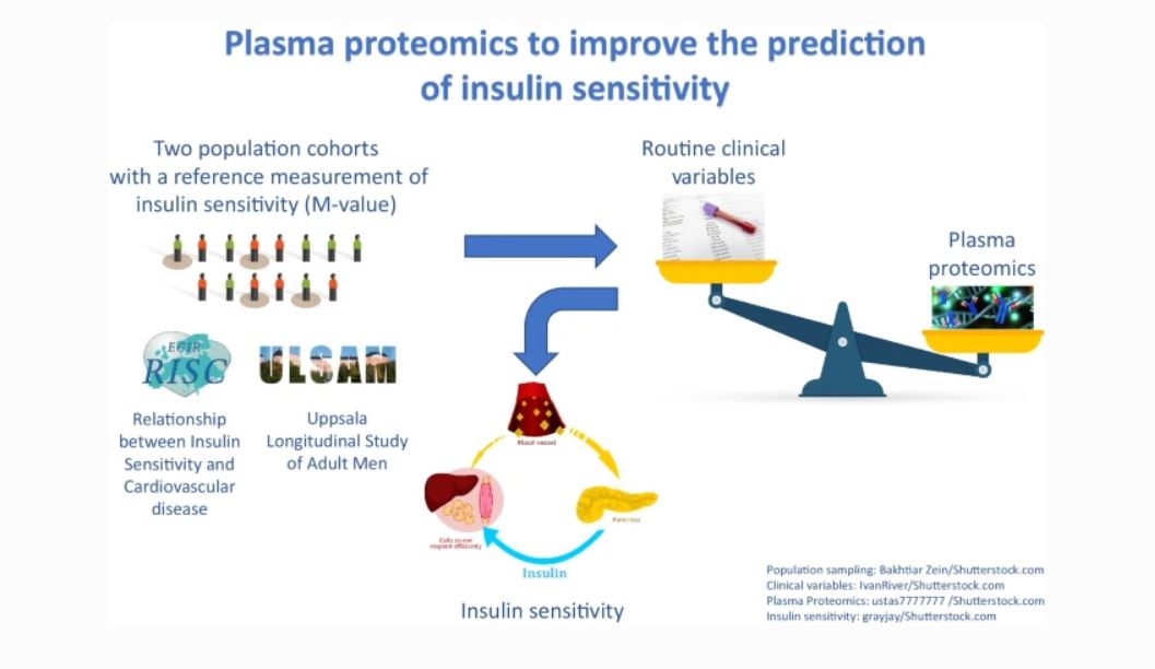 Diabetologia (@diabetologiajnl) on Twitter photo Plasma #proteomics improves classification of #InsulinSensitivity over routine clinical variables. A population study performed in the #RISC and #ULSAM cohorts led by <a href="/ZanettiD_/">Daniela Zanetti</a> and <a href="/tassimes/">Tim L. Assimes, MD PhD</a> #StanfordUniversity tinyurl.com/4jucrbj5 🔓 Plasma #proteomics improves classification of #InsulinSensitivity over routine clinical variables. A population study performed in the #RISC and #ULSAM cohorts led by <a href="/ZanettiD_/">Daniela Zanetti</a> and <a href="/tassimes/">Tim L. Assimes, MD PhD</a> #StanfordUniversity tinyurl.com/4jucrbj5 🔓