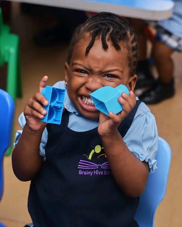 Brainy Hive Schools tweet media