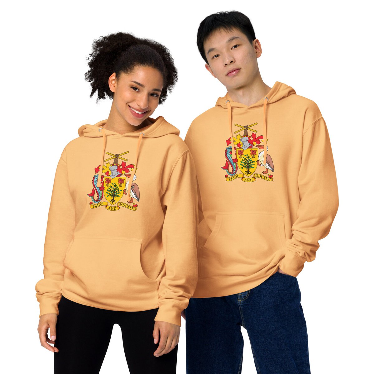Excited to share the latest addition to my #etsy shop: Barbados court of arms hoodie etsy.me/42VFvYE #streetwear #engagement #thanksgiving #barbados #bajan #reggae #soca #giftformom #giftforher