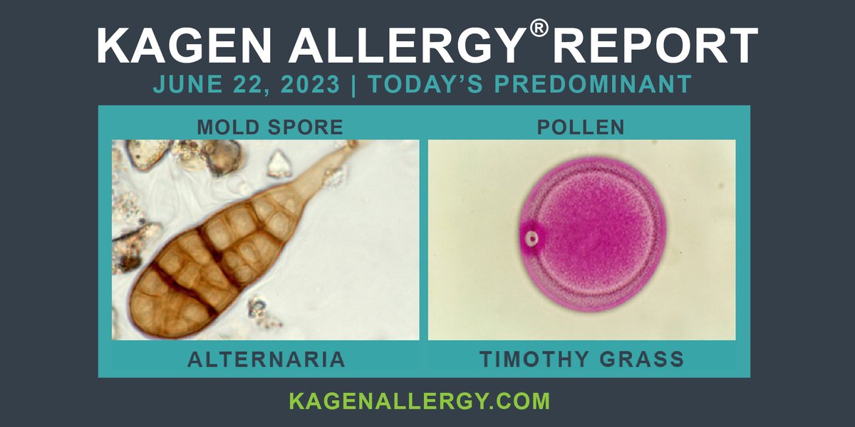 Today's predominant pollen and mold spore for #Wisconsin: June 22, 2023. Happy to see you. How may we help? kagenallergy.com/contact-the-te… #allergan #navigatingallergies #allergy #allergies #asthma #allergylife #asthmalife