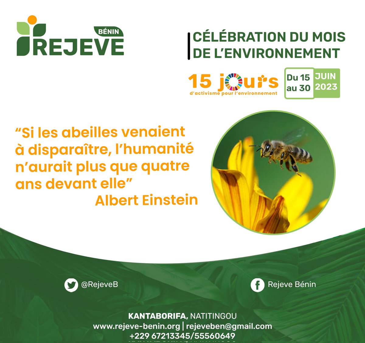 "Si les abeilles venaient à disparaître, l'humanité n'aurait plus que quatre ans devant elle"(retrouvez l'article en intégralité ici 👇🏾)
m.facebook.com/story.php?stor…

<a href="/unfpa_benin/">UNFPA Bénin CO</a> 
 <a href="/MJNatitingou/">Mairie des jeunes de Natitingou</a> <a href="/EmergencyO/">emergency observer.</a> @FjadLe <a href="/tiemrich/">Richmond Tiemoko</a> <a href="/HoracioZanvo/">Horacio Paterson ZANVO</a> 

#wasexo #nanto