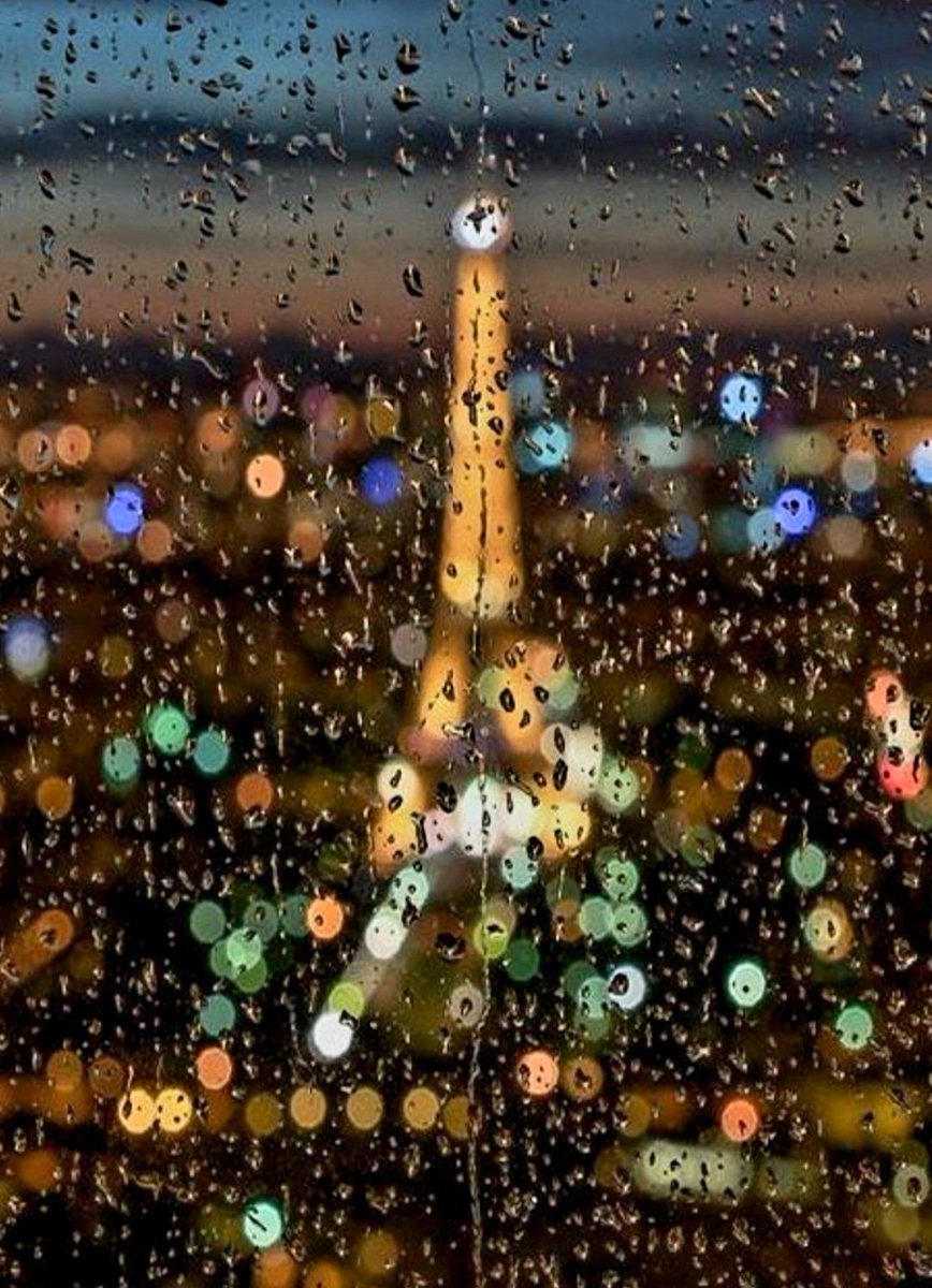 "En los días de lluvia, el sol es
  un intruso imperdonable".
- Eduardo Sacheri.