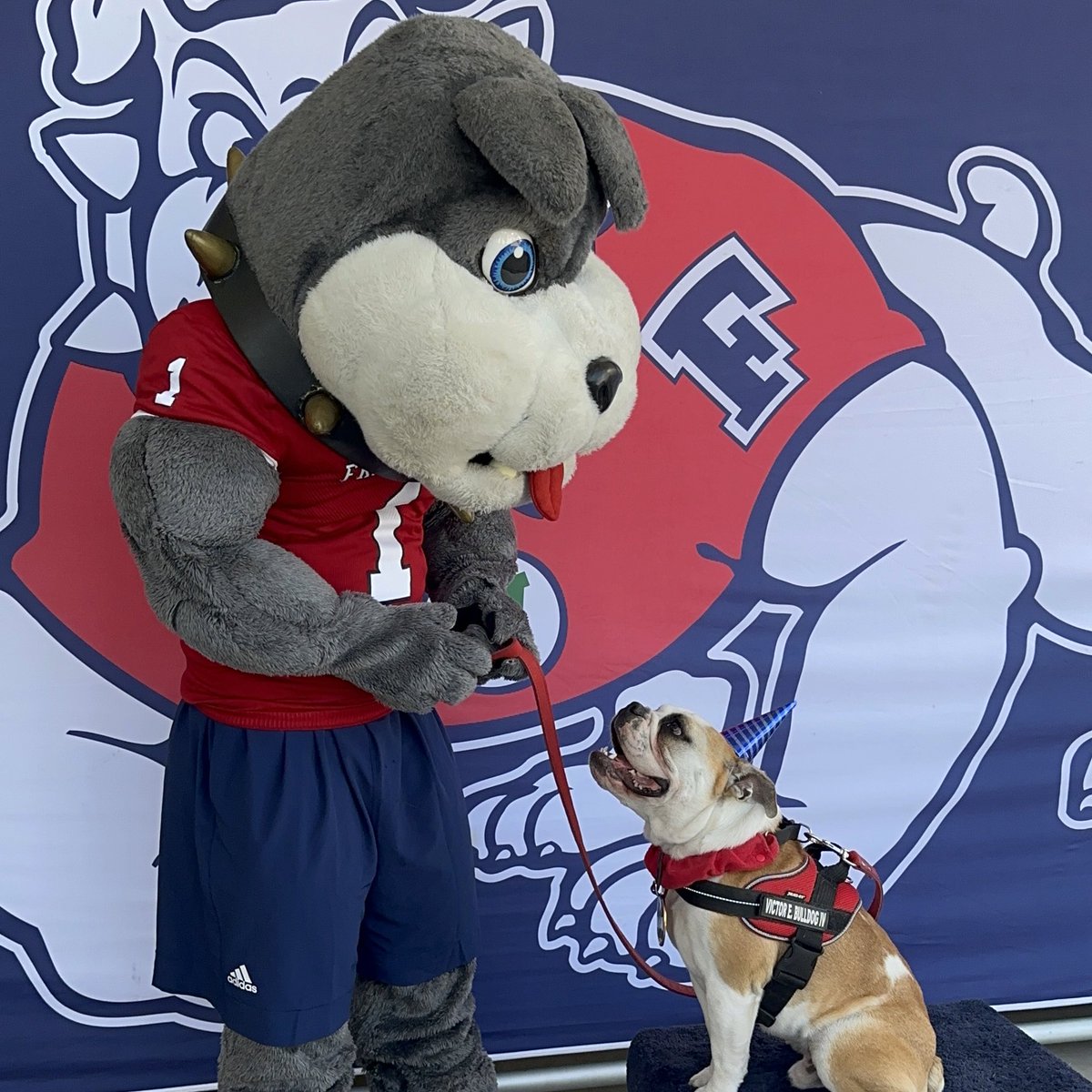 Party animals! 🥳

We had a great time celebrating @VictorEBulldog’s first birthday at Fresno Lexus. #GoDogs