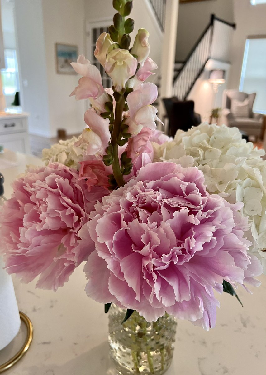 filler_amanda's tweet photo. A lovely gift from my husband! https://t.co/aGvXuyWdMU