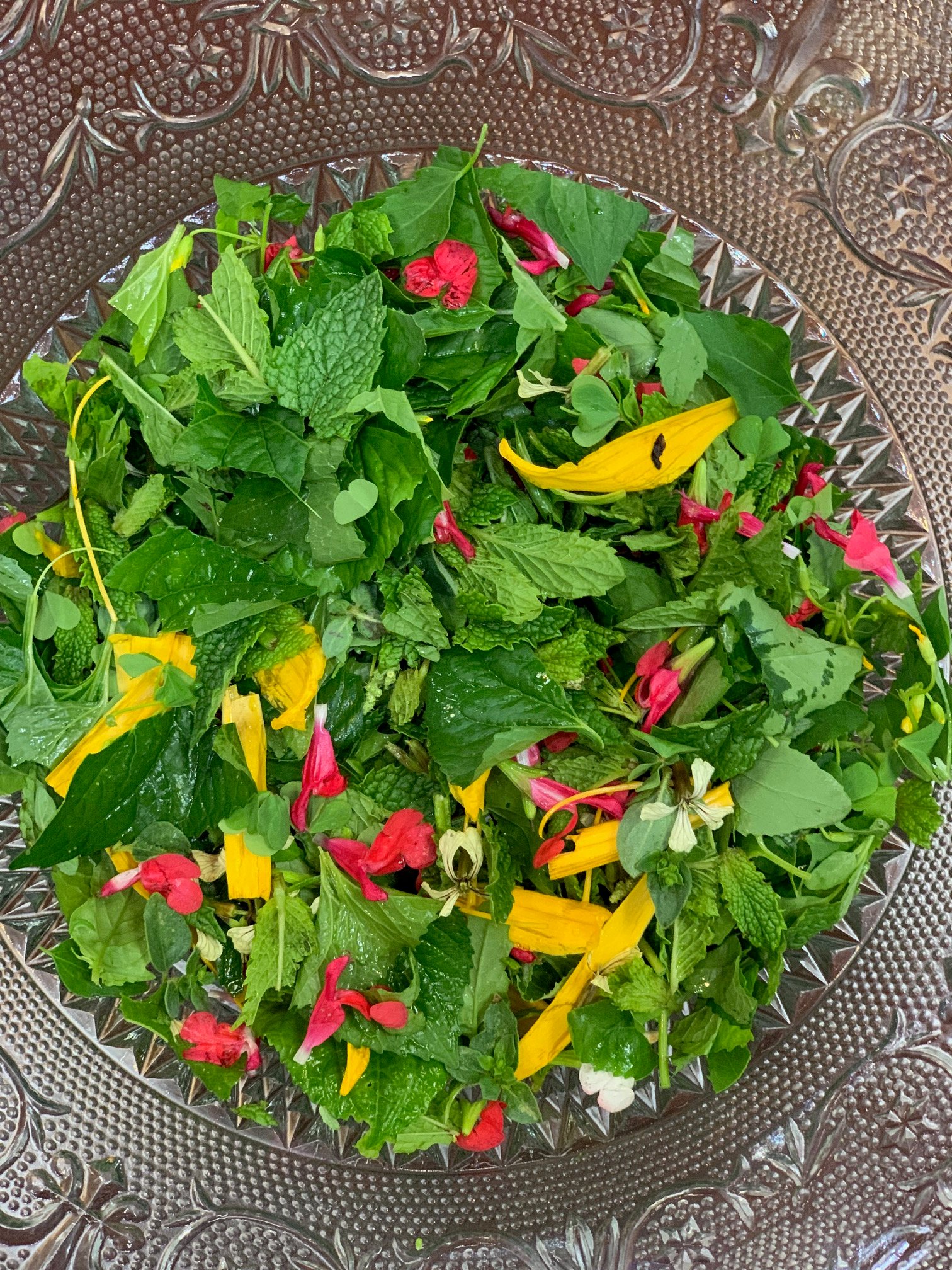 The Earth Commons on Twitter "[3/8] Today, the gardens are flourishing