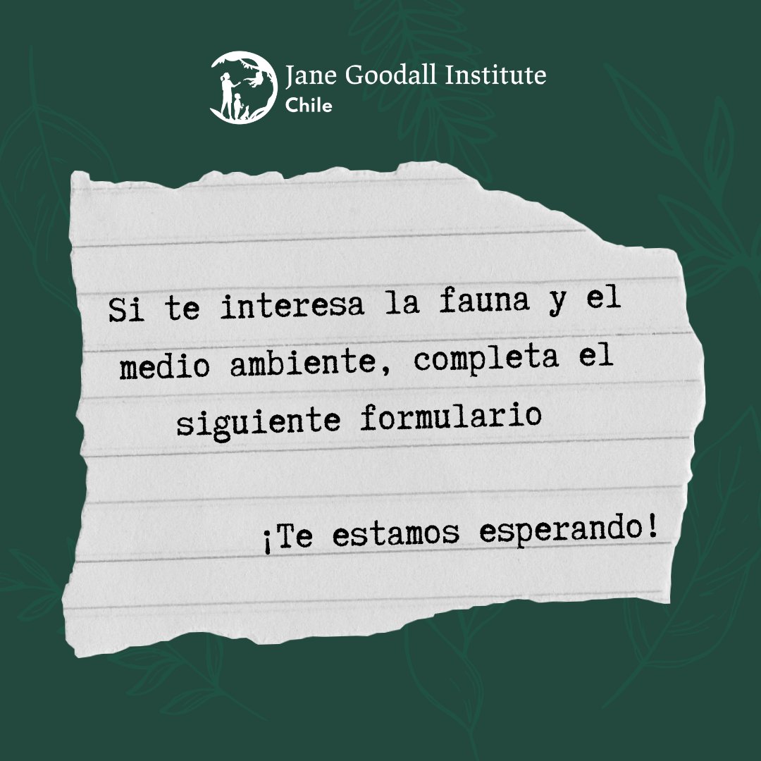 Fundación Jane Goodall Institute 🇨🇱 tweet media