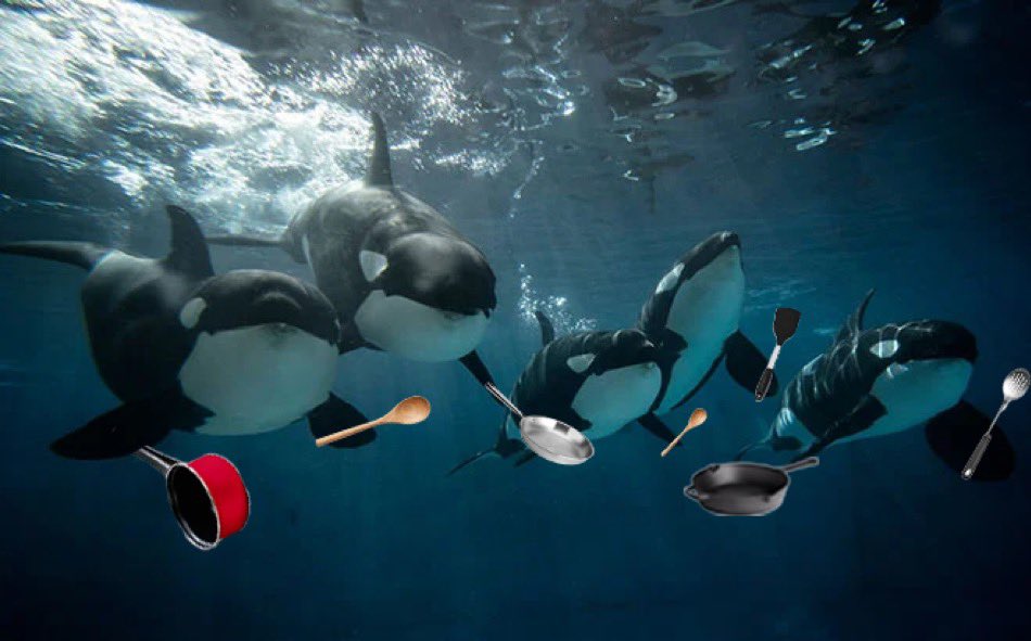 Great Album Covers tweet media