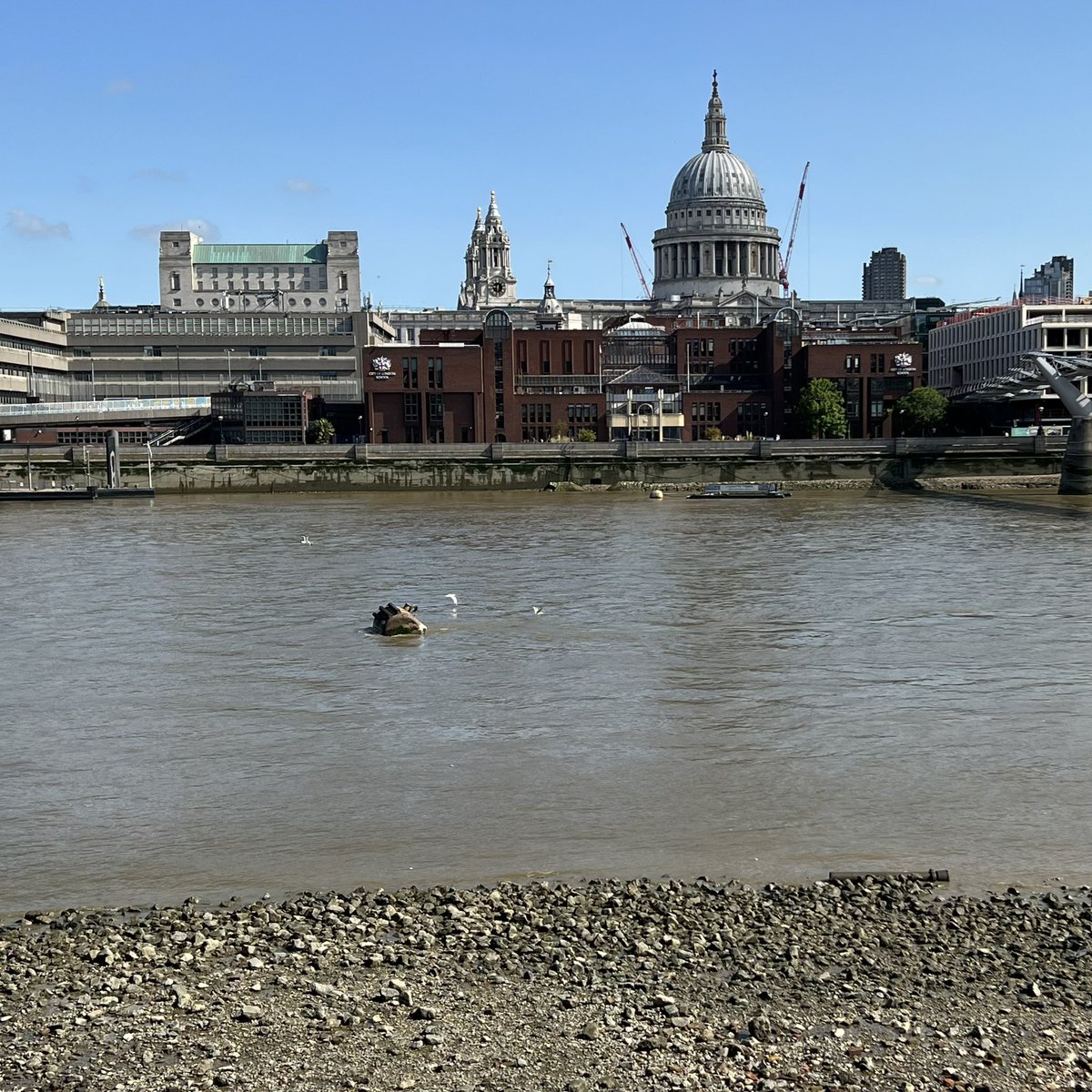 It was a hot day in London, so I went for a morning walk on the beach. 
#newperspectives #thames #riverthames #riversidewalk