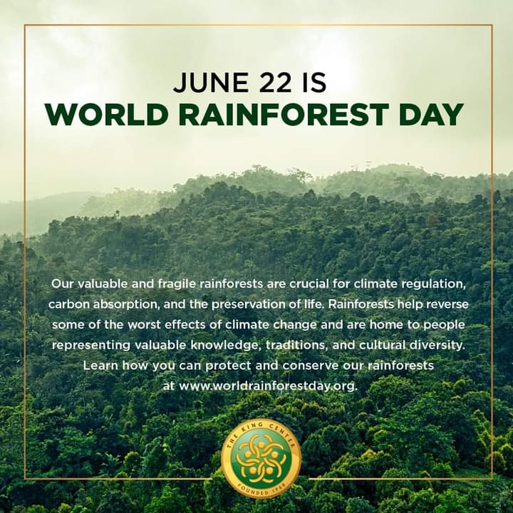 And Coretta Scott King 👑👸🏻  Today🏜️, learn🧑‍🏫 how to protect our👨‍👩‍👧‍👦🌎 #WorldHouse 🏡* by preserving our👨‍👩‍👧‍👦 🌎environment🏞️ and our👨‍👩‍👧‍👦 🌦️rainforests🏕️. G🌎' to worldrainforestday.org #WorldRainforestDay
🏜️🏞️🌅Beautiful🏡🏕️💐🌄🐦📖🛐🕊️