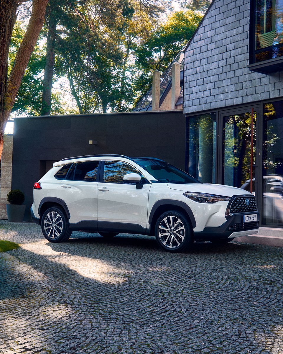 Toyota Burgos tweet media