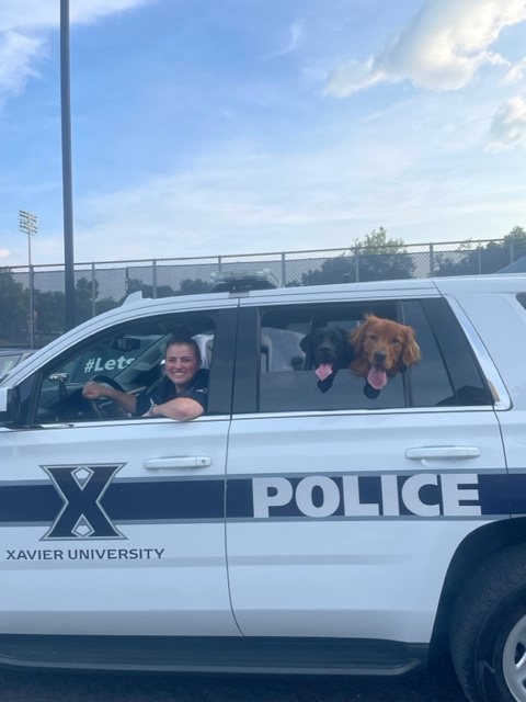 xavier_police's tweet image. They were on their best behavior and their only crime was being too cute. #weratedogs