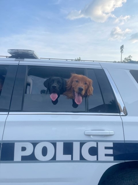 xavier_police's tweet image. They were on their best behavior and their only crime was being too cute. #weratedogs