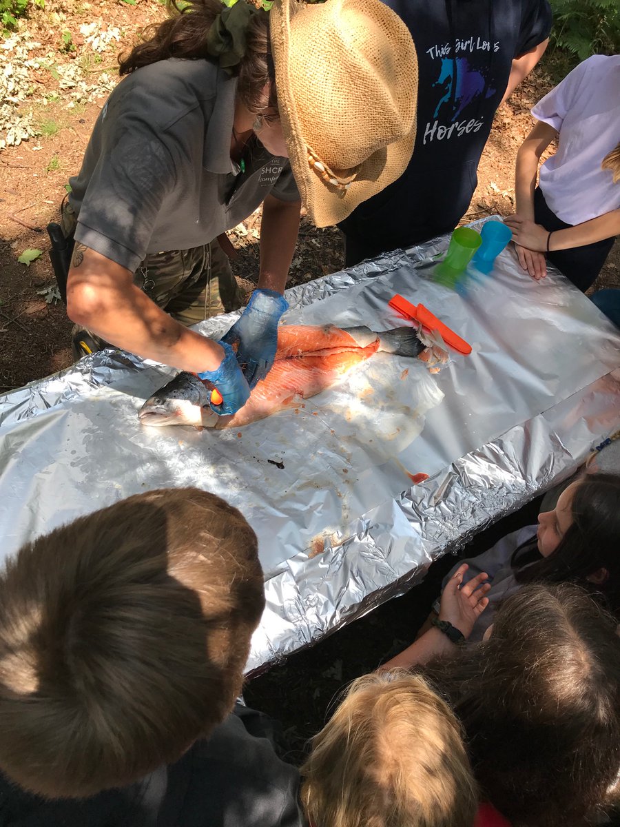 Great Walstead School tweet media