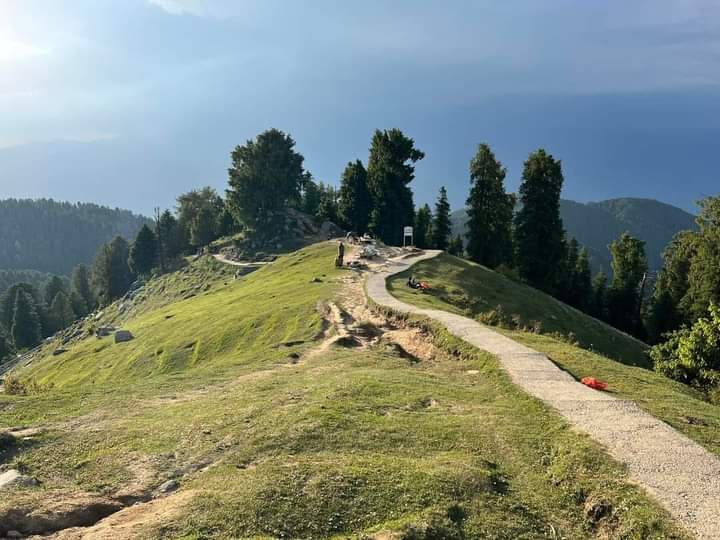 SoulOfMountain's tweet photo. #dalhousie #kalatop #dainkund #khajjiar https://t.co/i1HMTOFUGg