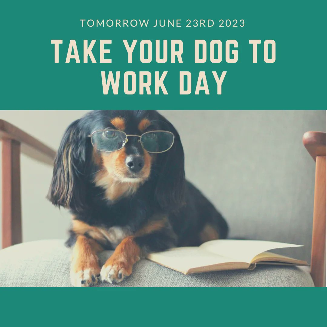 Tomorrow June 23rd, 2023 is National Take Your Dog to Work Day! #takeyourdogtowork #dog #work