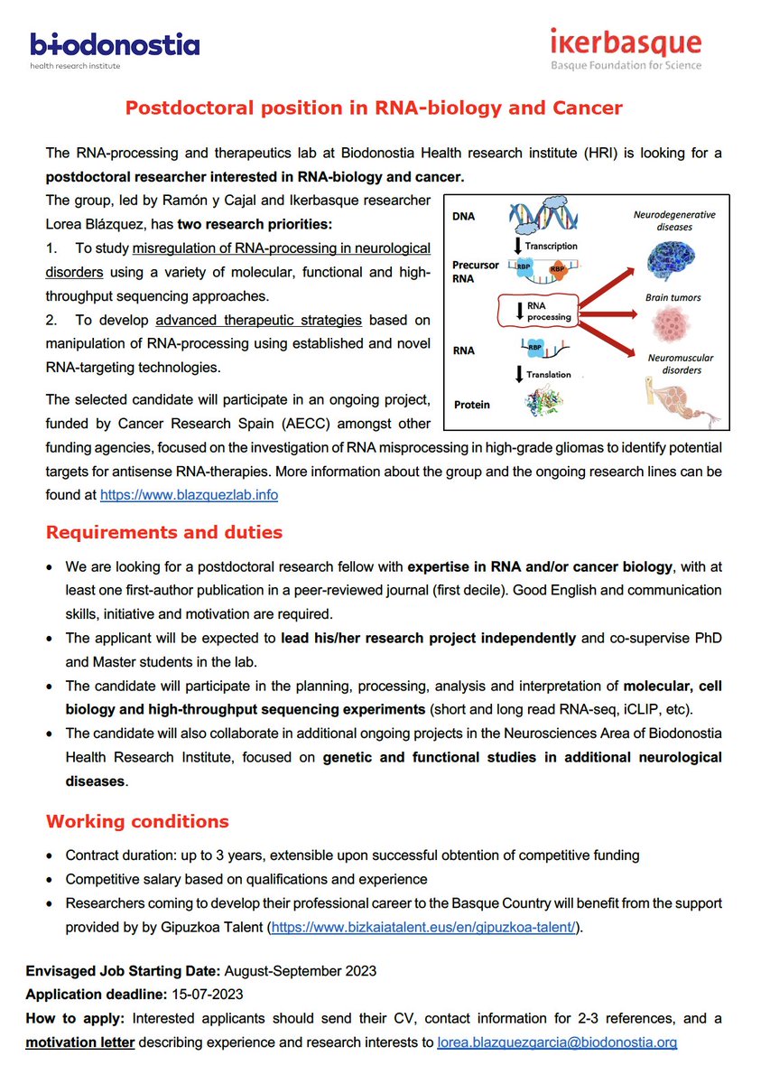 🚨🧐Job alert!!! we are looking for a postdoctoral researcher interested in #RNA biology and #cancer, to investigate RNA misprocessing in high-grade #gliomas and develop RNA-targeting therapies. Please RT and DM me if interested @Biodonostia @Ikerbasque