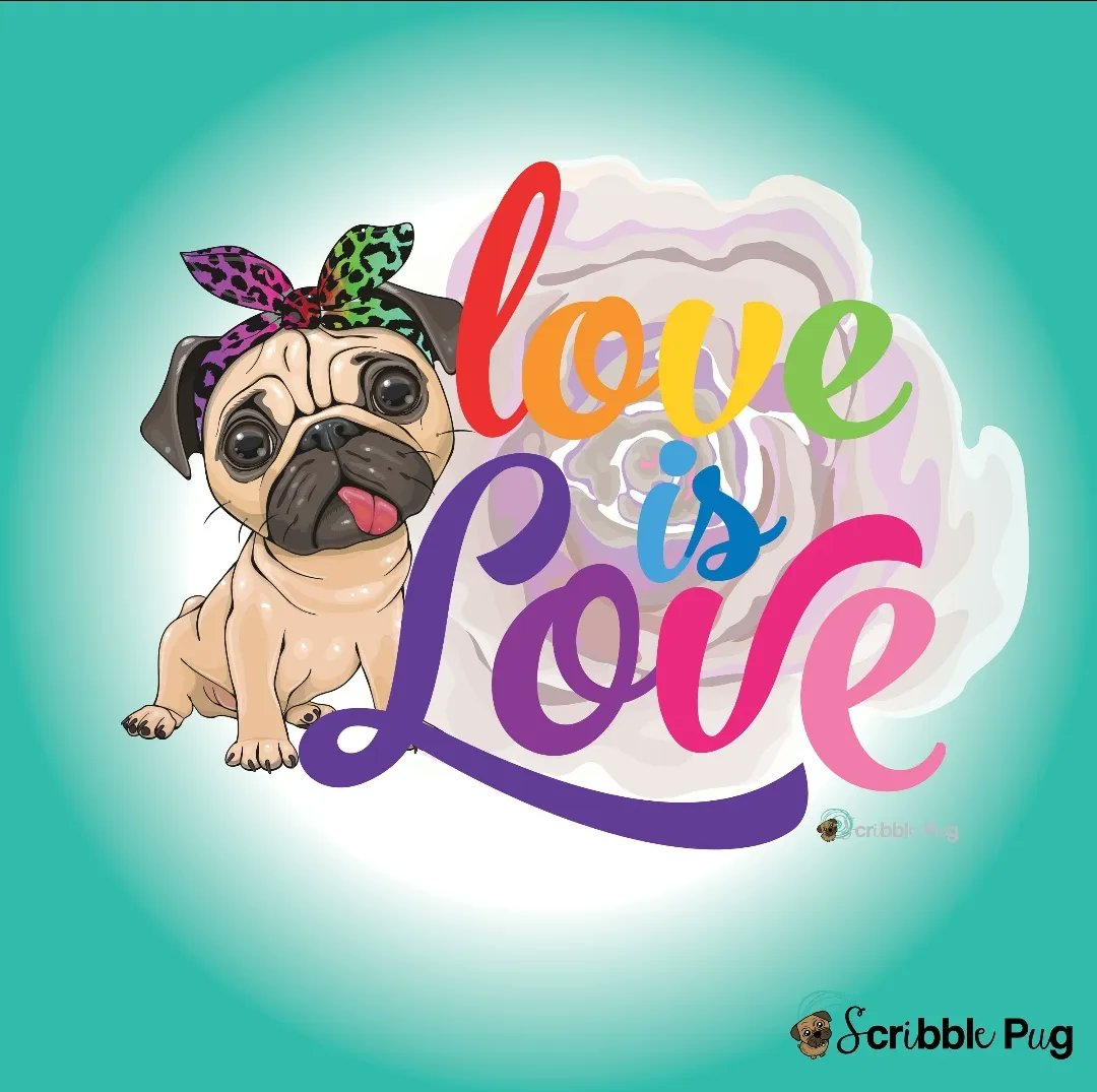 Love is love pug shirt 👚. Presented by @itsodispugworld & his hoomom! 🌈

🌈 scribblepug.com 🌈

#pride2023 #pride🌈  #equality #loveislove #lovewins #marriageequality #untoldpride #acceptance #equalitymatters  #stopbullying #bornperfect #virtualpride #pridemonth #pride