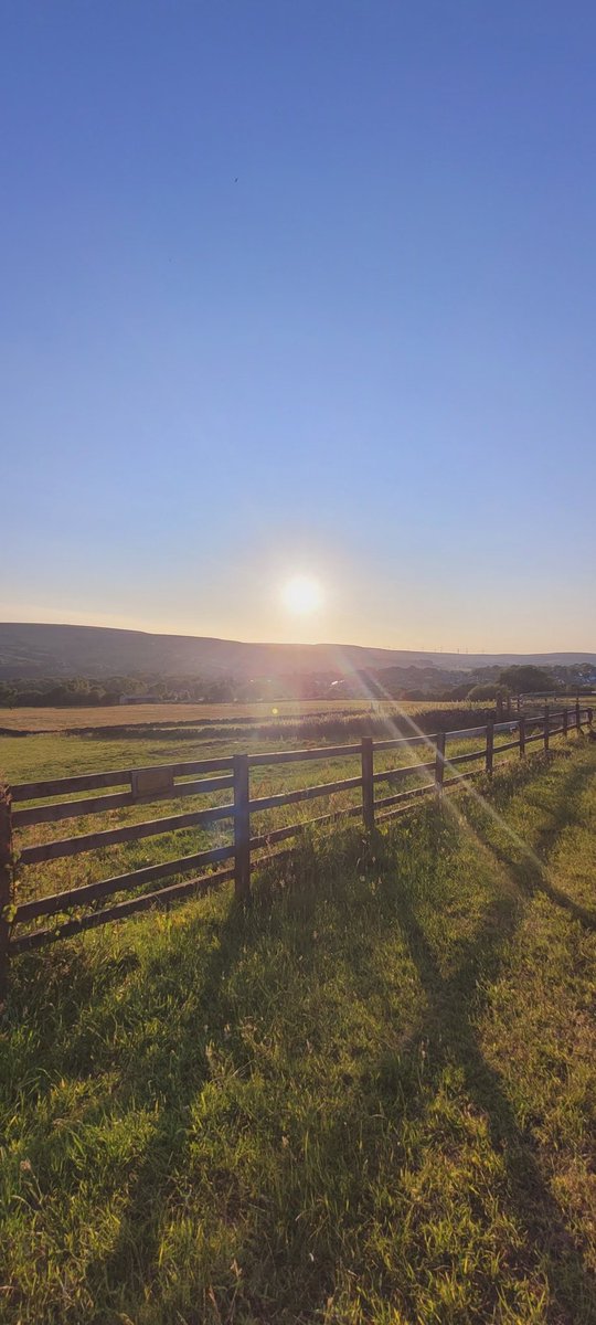 jacquihill18's tweet photo. Such a beautiful evening at work again ๐ ๐ @BleakholtUK @MarkPerks2021 @wynneevans @PetsatHome @BCTGB @team_greenacres #animalsanctuarylife #nightshift #workingdog #welshcollie https://t.co/sf3P81aodG