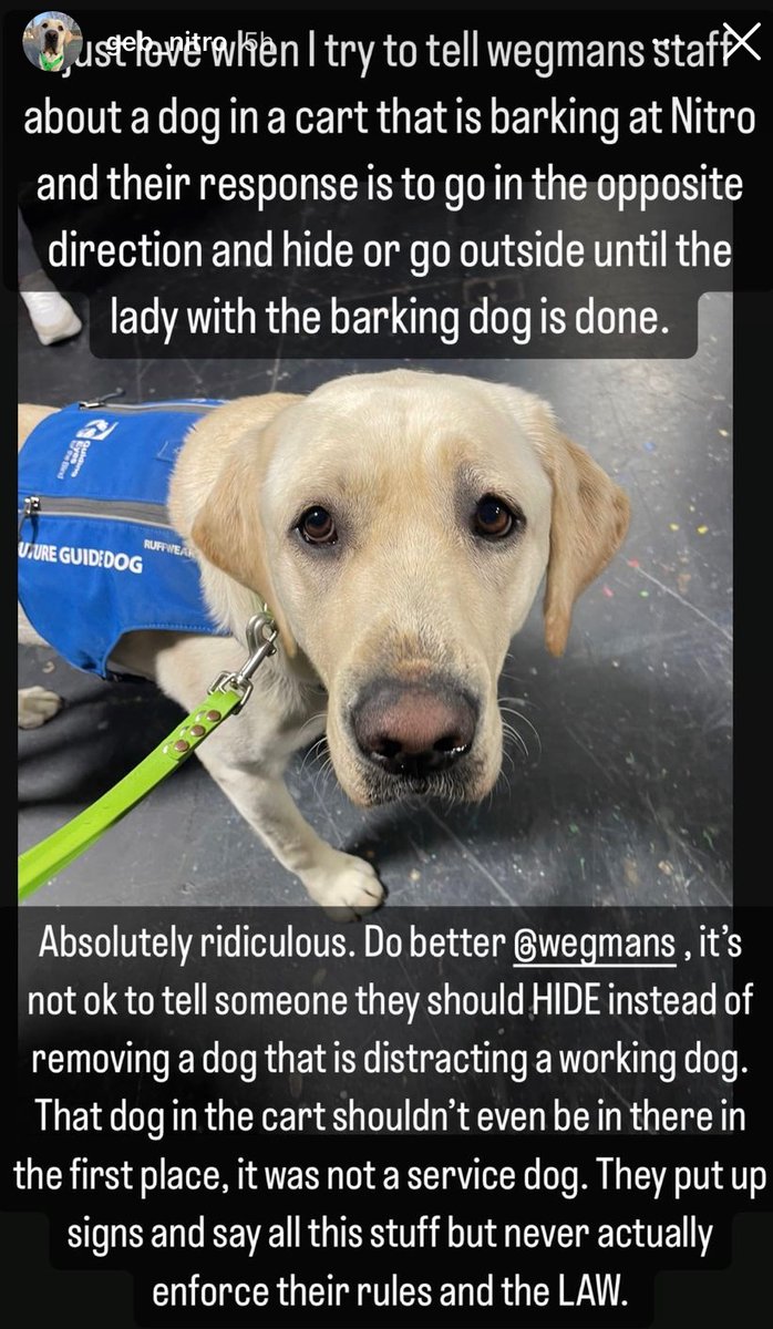 Hey <a href="/Wegmans/">Wegmans Food Markets</a>, the visually impaired  need your support.