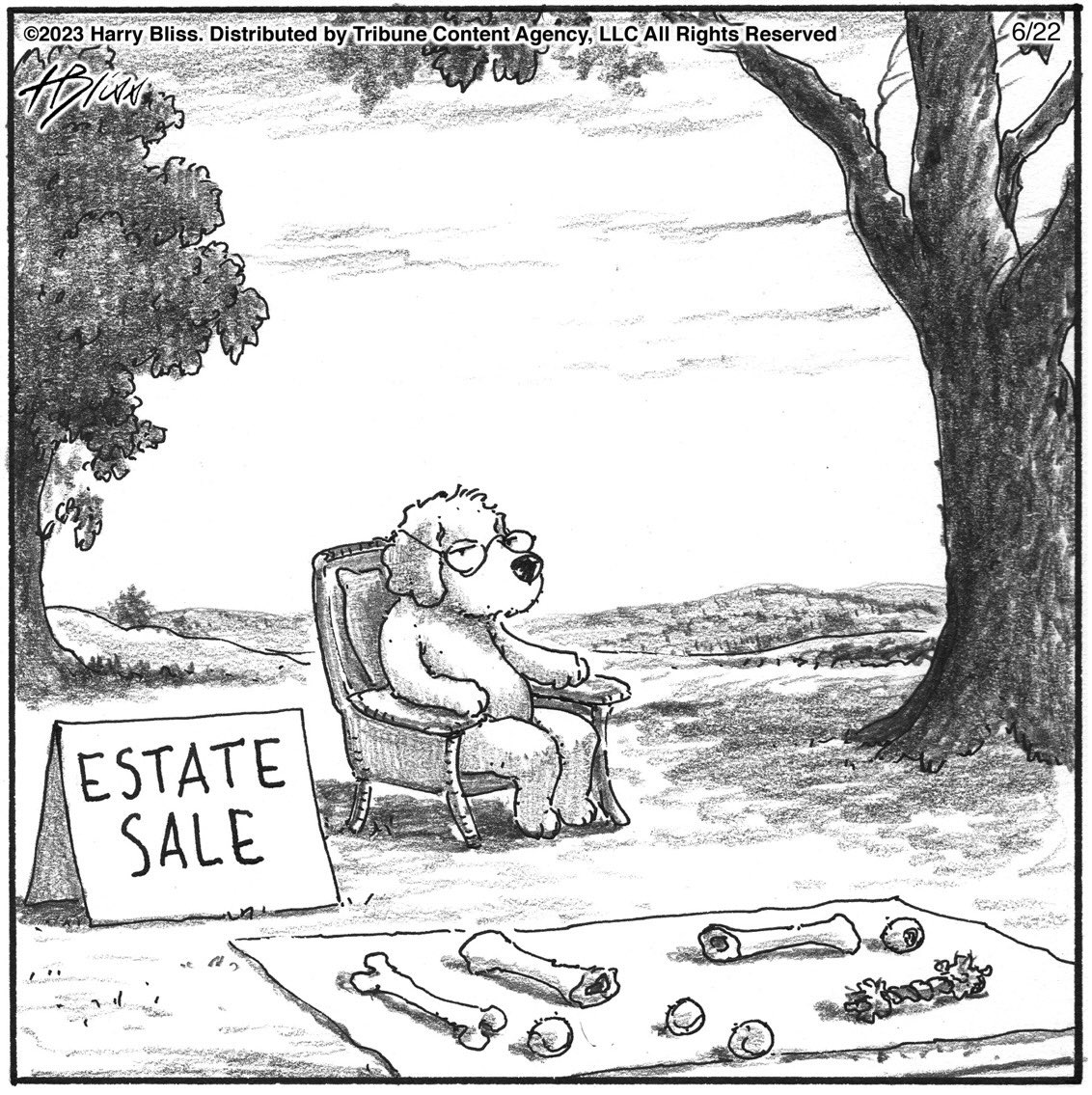 blisscartoon's tweet image. Great buys today…