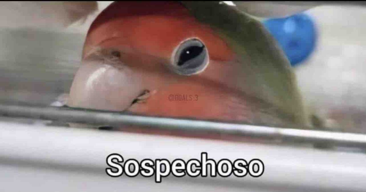 *Mi herman@ es amable conmigo*

Yo: