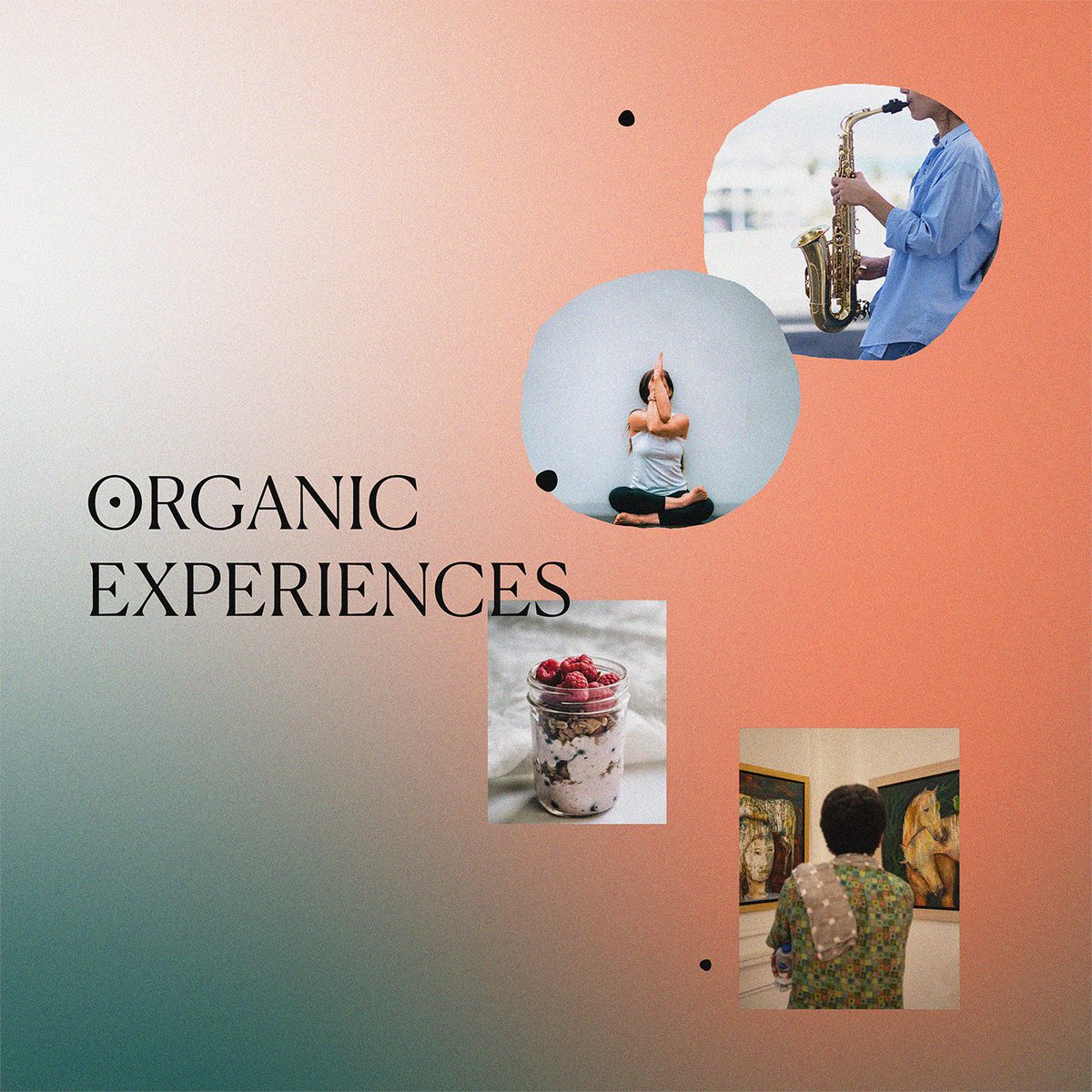 Kamelizer Spaces tweet media