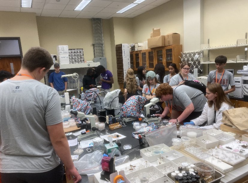 High school students in Auburn’s agriculture camp stopped by  yesterday to visit and learn more about what the Forest Health Lab does.