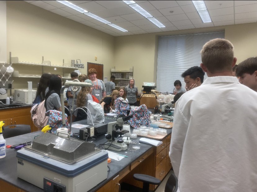 ForestHealth_AU's tweet photo. High school students in Auburn’s agriculture camp stopped by  yesterday to visit and learn more about what the Forest Health Lab does. https://t.co/CYo7FkmooW