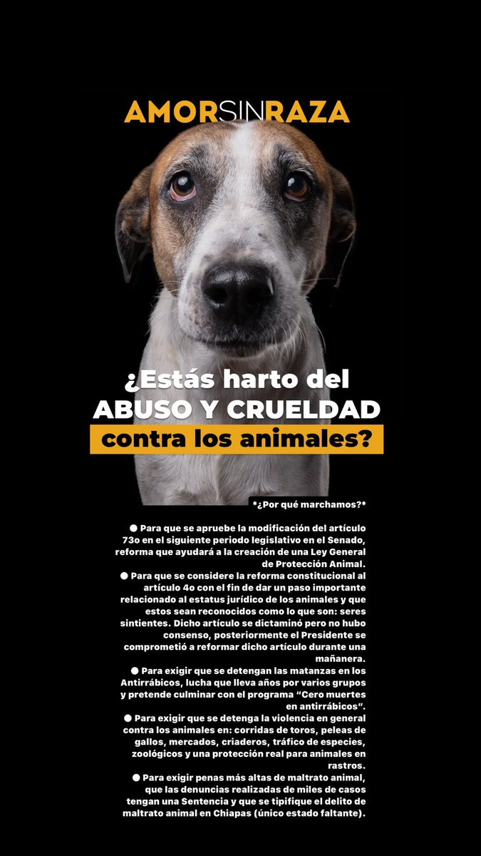 ERIFERCA's tweet photo. Información importante por favor compartir 🧡 
POR QUE MARCHAMOS !!! Nos vemos este domingo 🧡 https://t.co/x6f3itQ9p8