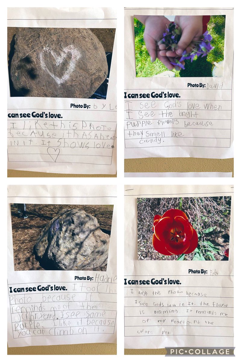 We took these photos with the @ocsbArts digital cameras. We got them developed. We wrote and shared how we can see and feel God’s love. We are writers.  We are photographers. 📸 💕 🌱🌼☀️🪨 🌳 

@StBrAndreOCSB @ocsbEco @ocsbRE #ocsbLiteracy #ocsbDL