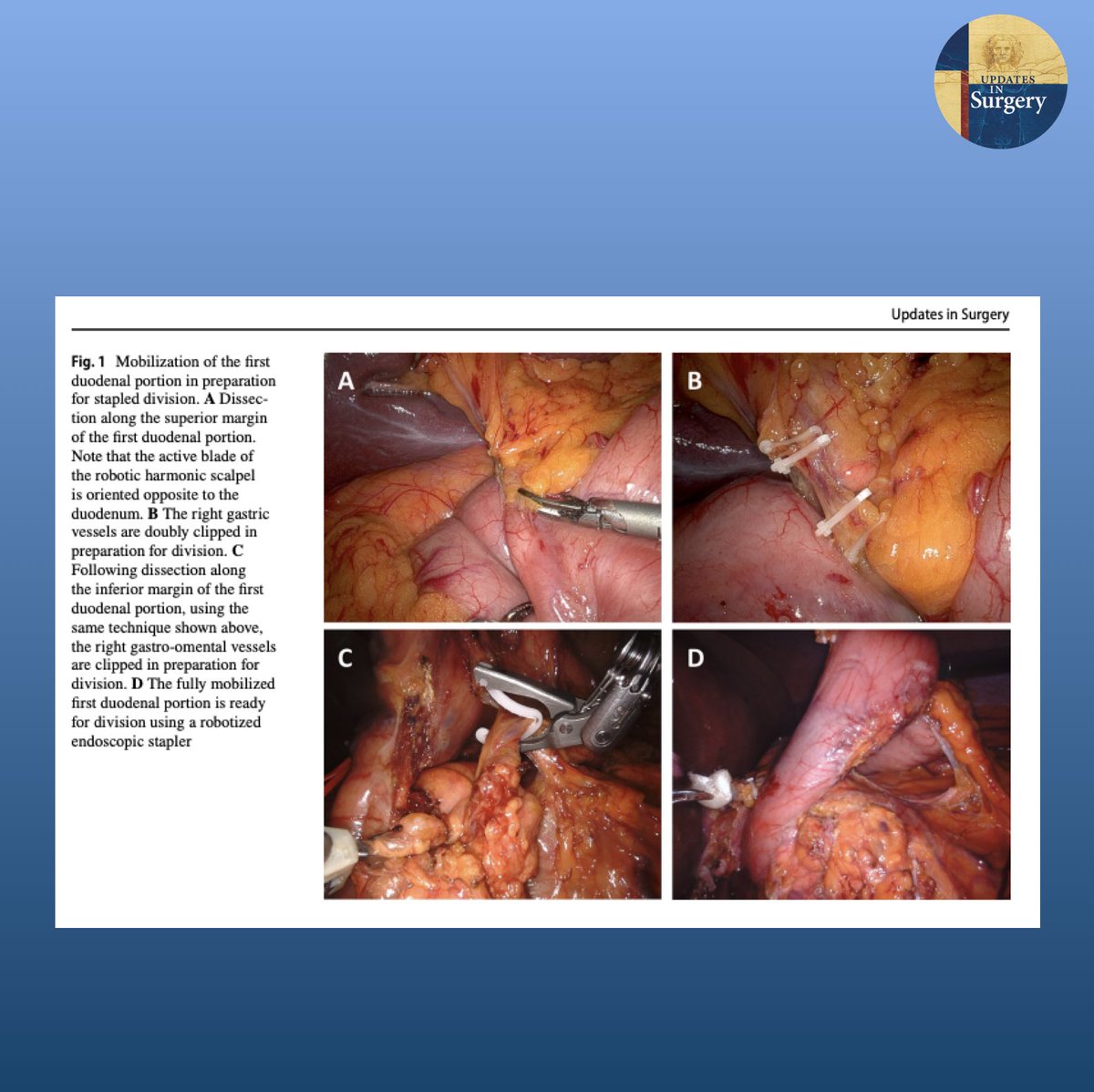 Updates in Surgery tweet media