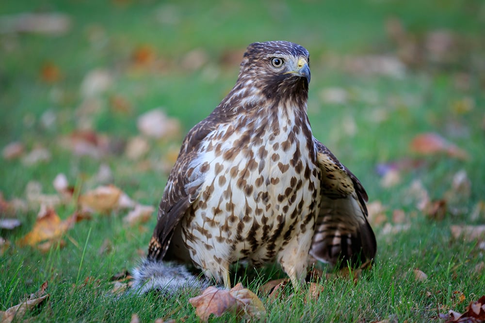 Calling all photographers! This photo by Karen DiBonaventura was the cover photo for our 2023 calendar photo contest. This is your chance to submit an entry. The Deadline is MONDAY!!! 
hubs.ly/Q01VxGBq0